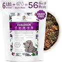 Dr. Harvey's Paradigm Green Superfood Base Mix for Dogs (6 lb)