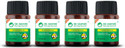 DR. VAIDYA'S Herbobuild | (Pack of 4, 200 Capsules)