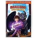 Dragons: Race to the Edge - Seasons 1 & 2 [DVD]