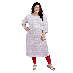 Dream Desi Womens Cotton White Colour Chickankari