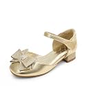 DREAM PAIRS Flower Girls Dress Shoes Bow Low Heels