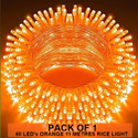 Dreamica 40 LEDs 11 m Orange Steady String Rice Lights