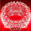 Dreamica 40 LEDs 11 m Red Steady String Rice Lights