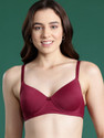 Dressberry Women T-Shirt Lightly Padded Bra Maroon