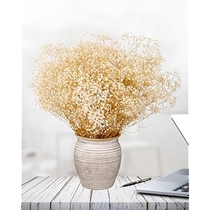 dried babys breath flowers bulk - 1734 ivory white dried flower bouquet 2000 real natural gypsophila branches for vase filler diy wreath floral crafts wedding table centerpiece home decor
