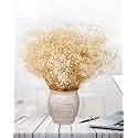 Dried Babys Breath Flowers Bulk - 17" Ivory White Dried Flower Bouquet, 2000+ Real Natural Gypsophila Branches for Vase Filler, DIY Wreath Floral, Crafts, Wedding, Table Centerpiece, Home Decor,