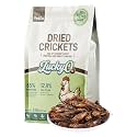 Dried Crickets 5 lb for Chickens, Wild Birds, Hedgehogs, Reptiles, Lizards, Bearded Dragons, Fish, Turtles - High Protein Natural Insect Food Resealable Bag