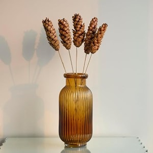 dried flower set for home decor  pampas grass pinecones bunny tails amp natural botanicals  elegant vase decoration for living room amp table strobus pine sticks 5 sticks