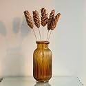 Dried Flower Set for Home Decor | Pampas Grass, Pinecones, Bunny Tails & Natural Botanicals | Elegant Vase Decoration for Living Room & Table (Strobus Pine Sticks 5 Sticks)