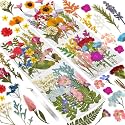 Dried Flowers 72pcs Natural Pressed Flowers and Leaves