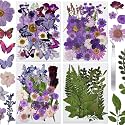 Dried Flowers for Resin 119Pcs Pink Real Natural Pressed Flowers