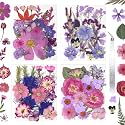 Dried Flowers for Resin Vacuum Packed DIY Pressed Flowers