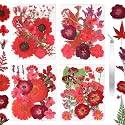 Dried Flowers for Resin Vacuum Packed DIY Pressed Flowers