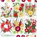 Dried Flowers, Resiners 6 Pack Pressed Flowers for Christmas Craft 100% Real Natural Dried Flowers Kits for Christmas DIY Making Crafts Resin Soap Candle Making Jewelry Scrapbook Supplies Card