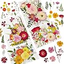 Dried Pressed Flowers for Resin