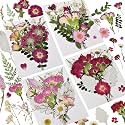 Dried Pressed Flowers for Resin