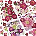 Dried Pressed Flowers for Resin