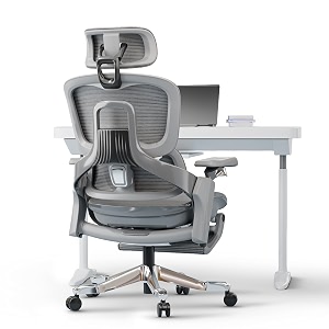 DROGO Mesh Ergo Flow Luxury Ergonomic Office