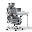 DROGO Mesh Ergo Flow Luxury Ergonomic Office Chair for Work from Home with Patented Flow Technology,4D Armrest with Wired Cable Mechanism,3D Headrest &amp; Lumbar Support,Gaming Chair with Recline (Grey)