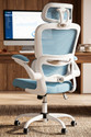 Drogo Ergonomic Office Chair for Work from Home Computer Chair with Lumbar Support Mesh Office Adjustable Arm Chair