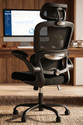 Drogo Ergonomic Office Chair for Work from Home Computer Chair with Lumbar Support Mesh Office Adjustable Arm Chair