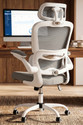 Drogo Ergonomic Office Chair for Work from Home Computer Chair with Lumbar Support Mesh Office Adjustable Arm Chair