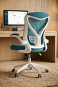 Drogo Ergonomic Office Chair for Work from Home Computer Chair with Lumbar Support Mesh Office Executive Chair