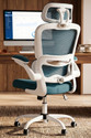 Drogo Ergonomic Office Chair for Work from Home Computer Chair with Lumbar Support Mesh Office Adjustable Arm Chair