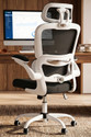 Drogo Ergonomic Office for Work from Home Computer with Lumbar Support Mesh Office Adjustable Arm Chair