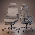 Drogo Ergotune Ergonomic Office Chair with 7-Gear
