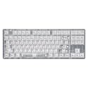 DROP + MiTo Keysterine Transparent ABS Keycap Set R2 - Arctic - 60%, 65%, 75%, TKL, WKL, 1800, 96-Key, Full-Size and More Cherry MX Style Keyboard Compatibility