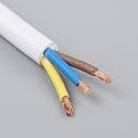 DRUMSTONE 3 Core Round Copper Wires and Cables 2.5mm - Ideal for Domestic and Industrial Electrical Connections (50 Meter, Color May Vary)