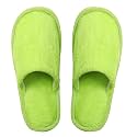 DRUNKEN Slipper For Men and Women Flip
