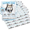 Dry Ice Packs for Shipping - Long Lasting ice Packs - 24+ Hour Freeze Power - BPA Free - 48 Pack Bulk 12 lb – Hielo Seco - Reusable Gel Bricks for Food