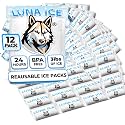 Dry Ice Packs for Shipping - Long Lasting ice Packs - 24+ Hour Freeze Power - BPA Free - 12 Pack Bulk 3 lb – Hielo Seco - Reusable Gel Bricks for Food