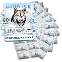 Dry Ice Packs for Shipping XL - Long Lasting ice Packs - 24+ Hour Freeze Power - BPA Free - 60 Pack Bulk 30 lb – Hielo Seco - Reusable Gel Bricks for Food