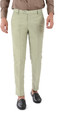 The DS Regular Fit Men Light Green Trousers