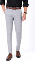The DS Regular Fit Men Silver Trousers
