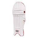 DSC Intense Passion Cricket Batting Legguard Youth