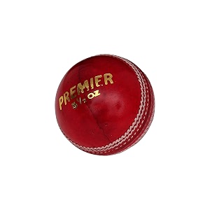 dsc premier leather cricket ball red