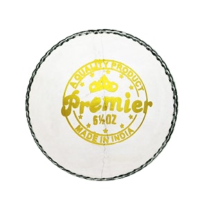 dsc premier leather cricket ball white