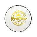 DSC Premier Leather Cricket Ball (White)