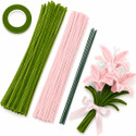 DsCrafts 100 Pcs Pipe Cleaner Craft Kit