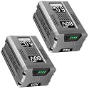 DTK 6Ah Long Lasting Batteries Replacement for Greenworks 80V Battery Ultra-High Capacity 6000mAh Lithium Ion ED80L00 Cordless Power Tools Batteries 2 Packs
