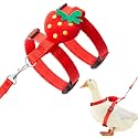 Duck Harness Leash Set Duck Harness and Leash for Real Ducks Adjustable Walking Rope Pet Cute Pattern Outdoor Traction Rope for Chicken Rabbit Small Animals(Xs,Strawberry)