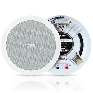 dulcet dc-cs6x 65 inch 10w full range 8 ohms wired line ceiling speaker with dedicated 100v constant supply input amp line matching transformer specifically for pa amplifier with 100v line output