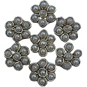 Dulhan Plaza Zardosi zari Work Dapka Beads Flower Applique Patch for Jewellery Making Dress Designs Saree Blouse Rakhi Home Decoration Decorative Art and Craft (250)