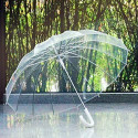 Dumleto Transparent Umbrella (1 Pcs) Umbrella