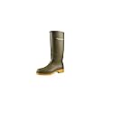 Dunlop Ladies/Womens 16247 DULLS Rain Welly Boot/Wellington Boots (9 US) (Green)