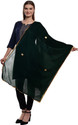 Dupattaa Velvet Self Design Green Women Dupatta